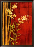 Zen Contemporary Prints by Elizabeth Jardine