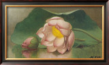 Lotus Blossom Posters by Martin Johnson Heade