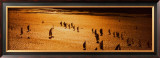 Fastnet Race, Admiral`s Cup Prints by Carlo Borlenghi