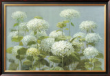 White Hydrangea Garden Prints by Danhui Nai