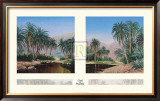 Cool and Peaceful Prints by G. Petley