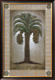 Phoenix Dactylifera Prints by Sergio Bustamonte