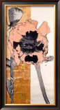 Poppy Prints by Robert Kushner