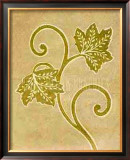 Vine Leaf Decoration Poster by Sophie Adde