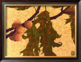 Pin Oak Print by Anita Munman