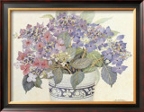 Lace Cap Hydrangeas Posters por Barbara Van Winkelen Lace Cap Hydrangeas Posters por Barbara Van Winkelen