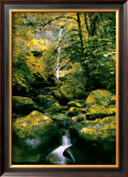 Elowah Falls Posters by Anthony E. Cook