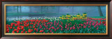 Keukenhof Posters by Alain Le Toquin