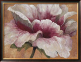 Pink Begonia Prints by Maria Torróntegui