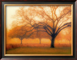 Memory of Trees Posters by M. Ellen Cocose