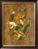 Sumatra Orchids II Prints by Emily Sung