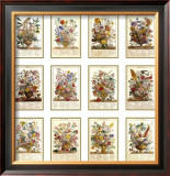 Twelve Months of Flowers Posters by Robert Furber