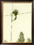 Track and Field, Pole Vault Framed Giclee Print