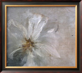 Volupte Prints by Clotilde Ancarani
