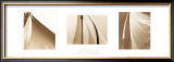 Sail Away Trilogy Prints by Alan Klug