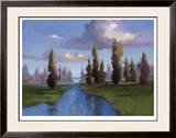 Tribute to Trees Limited Edition Framed Print by Vicki Mcmurry