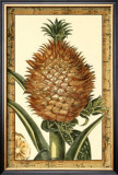 Island Harvest II Posters