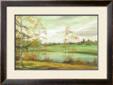 Unter Birken Prints by Bettina Hagen