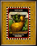 Summer Squash Seed Pack Framed Giclee Print