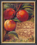 Eaux de Vie de Fruits I Prints