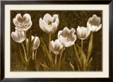 Baroque Tulips Art by Ives Mccoll