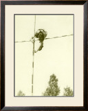 Track and Field, Pole Vault Framed Giclee Print