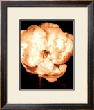 Beautiful Flower III Posters por Gerard Van Hal