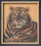 Safari Tiger Prints by Ann Walker