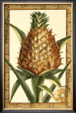 Island Harvest I Prints