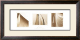Sail Away Trilogy Prints by Alan Klug