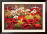 Meadow Poppies II Prints by Lucas Santini