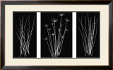 Three Rushes Prints by Jim Wehtje