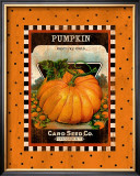 Pumpkin Seed Pack Framed Giclee Print