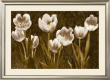 Baroque Tulips Poster by Ives Mccoll