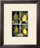 Fruit Prints