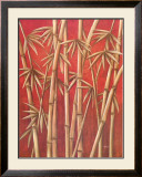 Thai Bamboo II Prints by Rafael Serreno