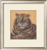 Safari Tiger Prints by Ann Walker