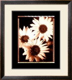 Beautiful Flower IV Arte por Gerard Van Hal
