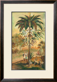 Paradisimo II Poster by Kirstein 