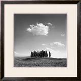 Cypress Trees Posters by Jean Miele