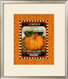 Pumpkin Seed Pack Framed Giclee Print