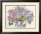 Lace Cap Hydrangeas Pôsters por Barbara Van Winkelen Lace Cap Hydrangeas Pôsters por Barbara Van Winkelen