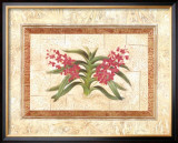 Ceylon Orchid II Posters by Liu Chang