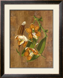 Sumatra Orchids II Posters by Emily Sung