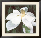 Magnolia Study Prints by Ginny Chenet