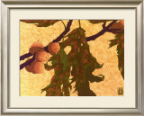 Pin Oak Posters by Anita Munman