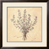 Scent of Thyme Posters by Telander 