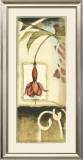 Secret Garden VI Prints by Jennifer Goldberger