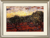 The Olive Grove, c.1889 Posters by Vincent van Gogh
