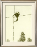 Track and Field, Pole Vault Framed Giclee Print